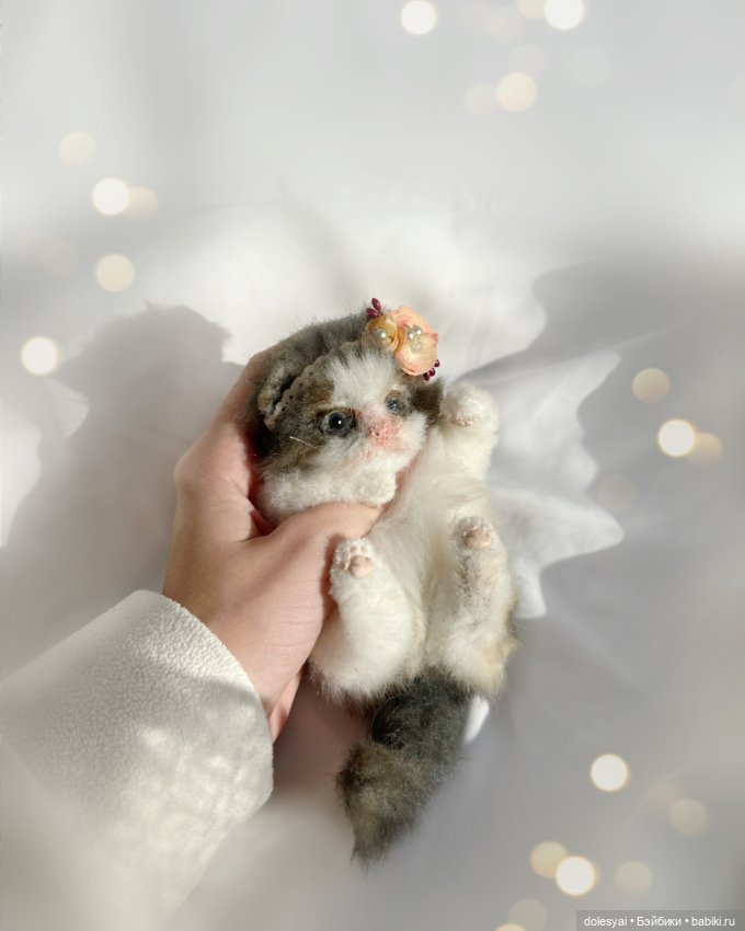 Продолжение про котика отказника (фото 3)