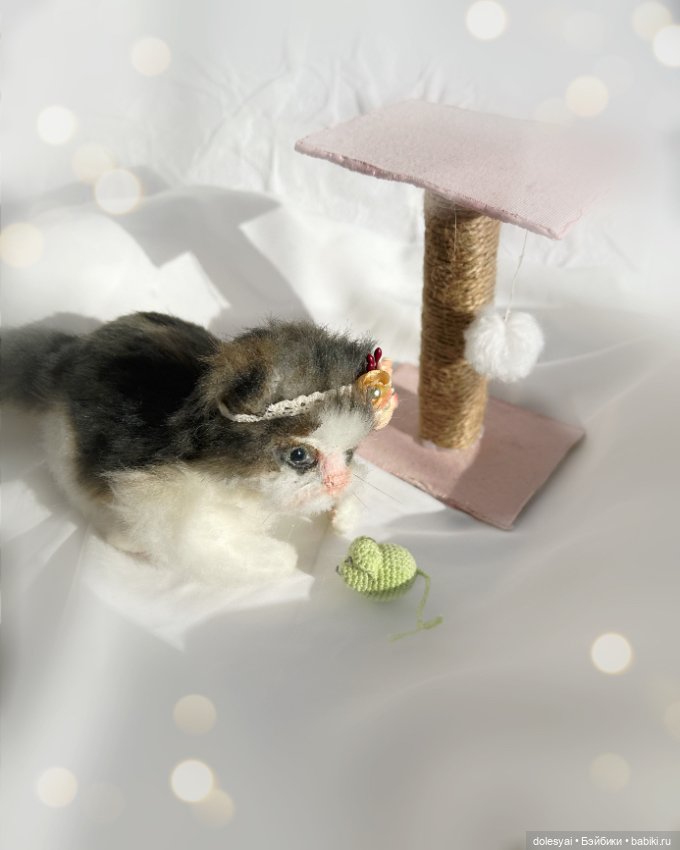 Продолжение про котика отказника (фото 2)