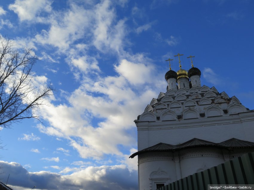 Стелла Ruby Red Siblies в Коломне