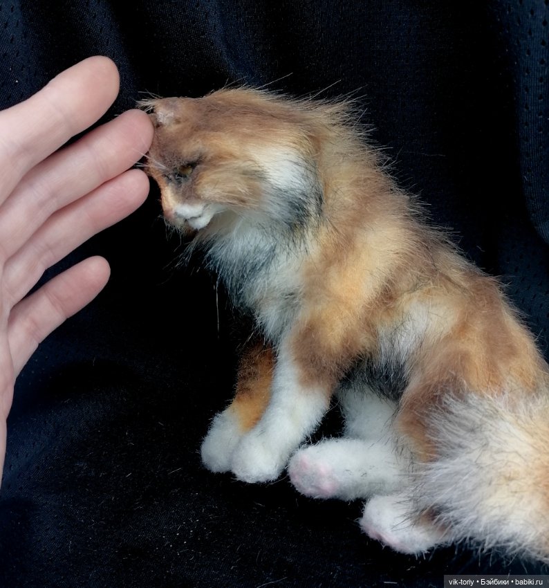 Трёхцветная кошечка... Я вновь взялась за иголку 😄 (фото 3)