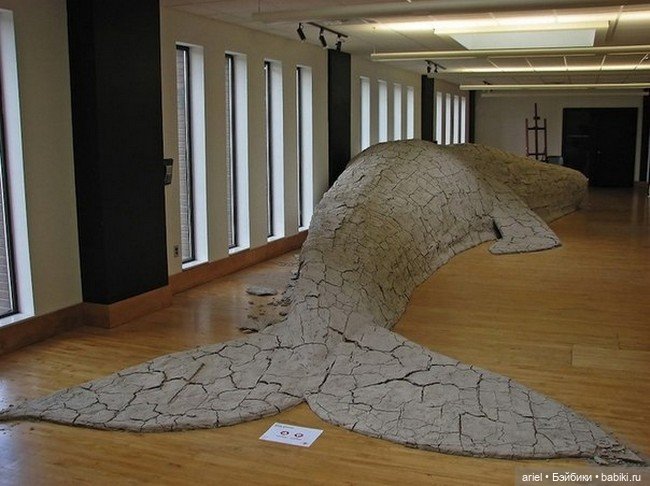 Скульптуры из влажной глины от Shay Church (фото 3)