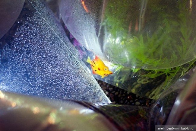 Инсталляция под названием "Карманная река" от Luzinterruptus (фото 6)