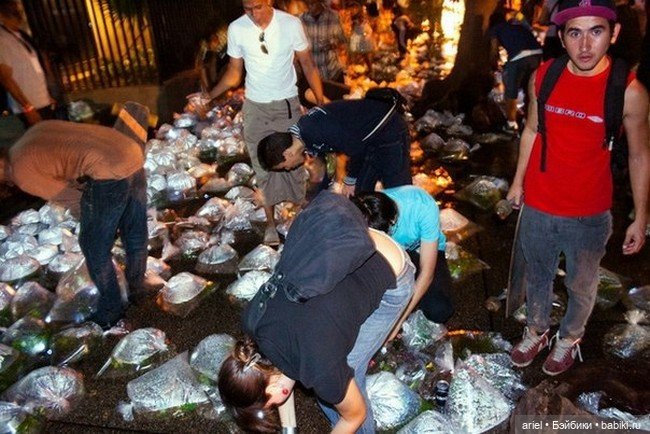 Инсталляция под названием "Карманная река" от Luzinterruptus (фото 5)