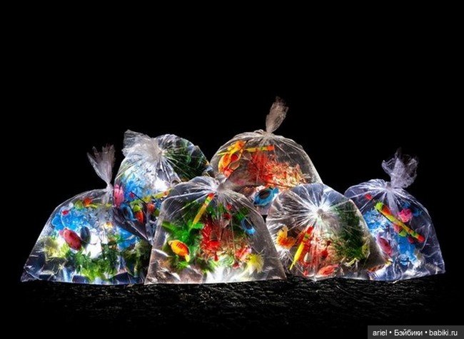 Инсталляция под названием "Карманная река" от Luzinterruptus (фото 8)