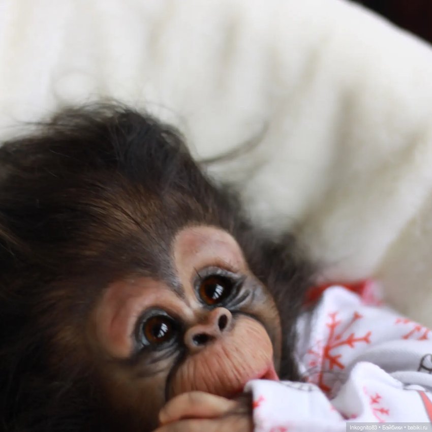 Обезьянка Реборн, Бинки — Куклы Реборн (Reborn): работы мастеров (фото 2)