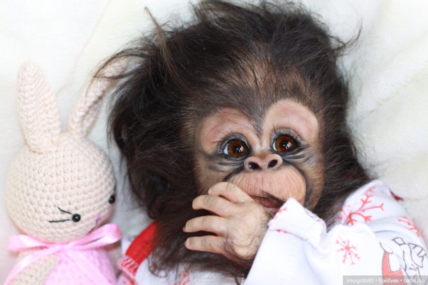 Обезьянка Реборн, Бинки — Куклы Реборн (Reborn): работы мастеров