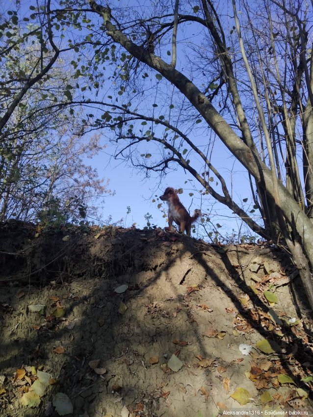 Просто Маня🐶 — Болталка и разговоры обо всем: жизнь