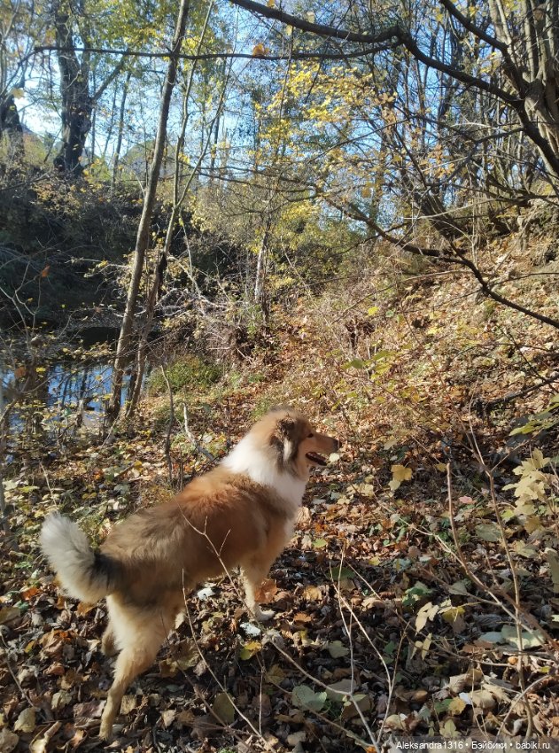 Просто Маня🐶 — Болталка и разговоры обо всем: жизнь