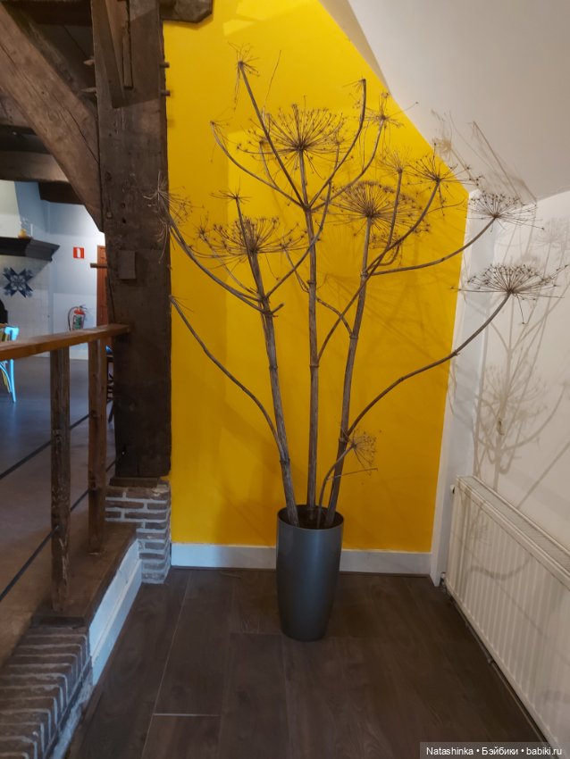 Fashion Dolls 431 — Туризм и путешествия: фотоотчеты из поездок (фото 4)