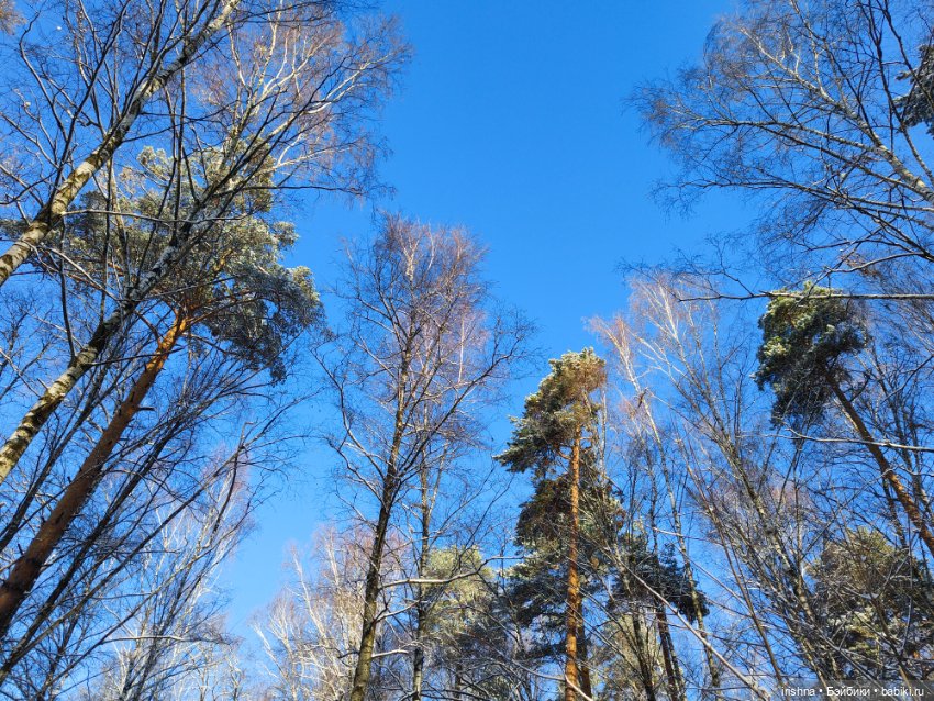 Снежные красавицы. Поппи Пледик и Поппи Сахарок