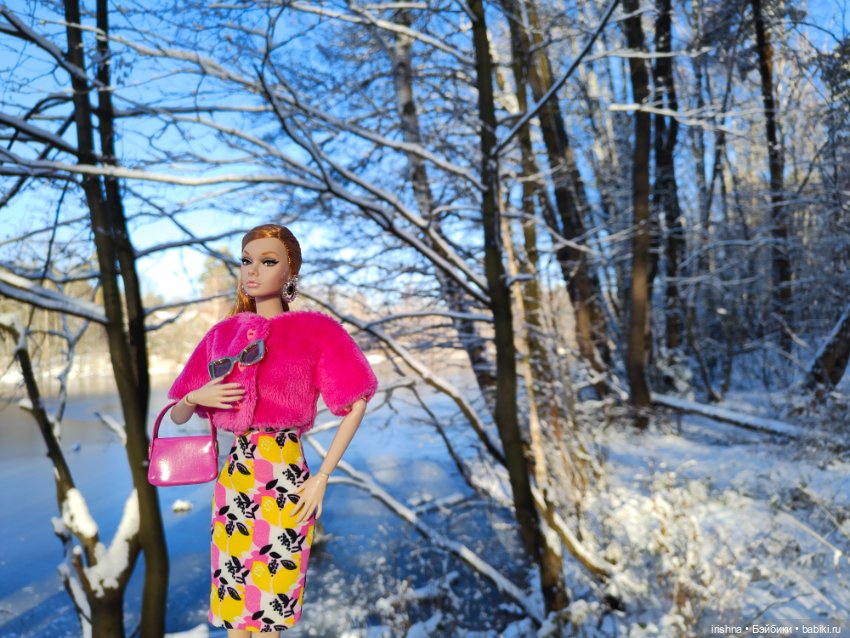 Снежные красавицы. Поппи Пледик и Поппи Сахарок