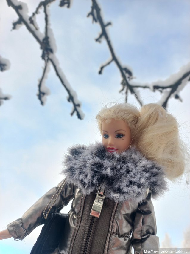 Снежана и первый снег — Куклы Barbie (Барби): Looks
