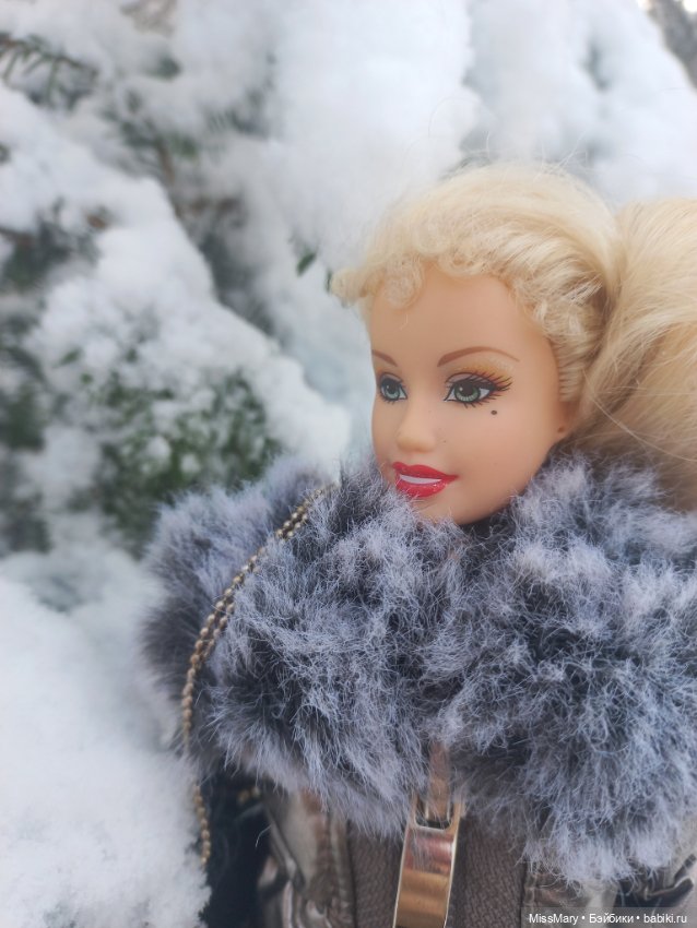 Снежана и первый снег — Куклы Barbie (Барби): Looks (фото 2)