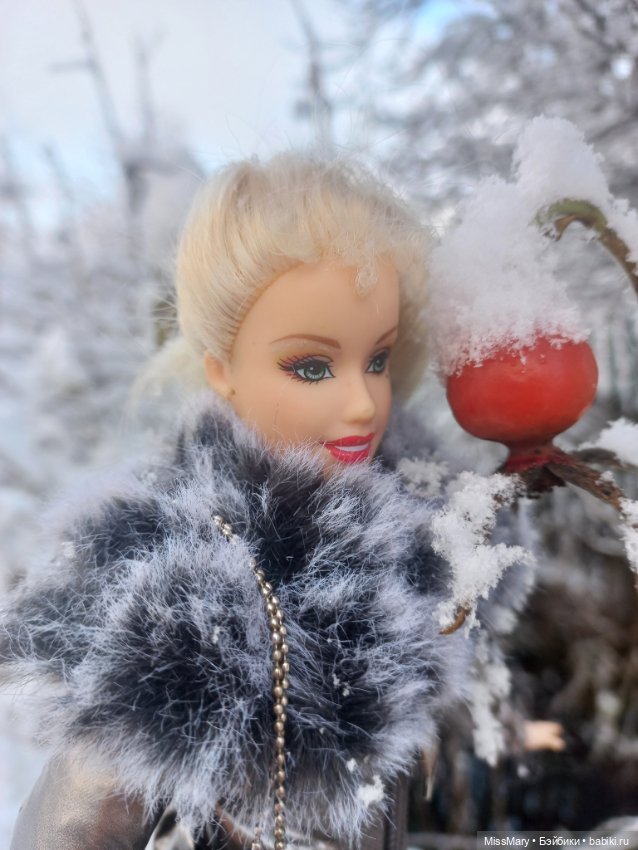 Снежана и первый снег — Куклы Barbie (Барби): Looks (фото 3)