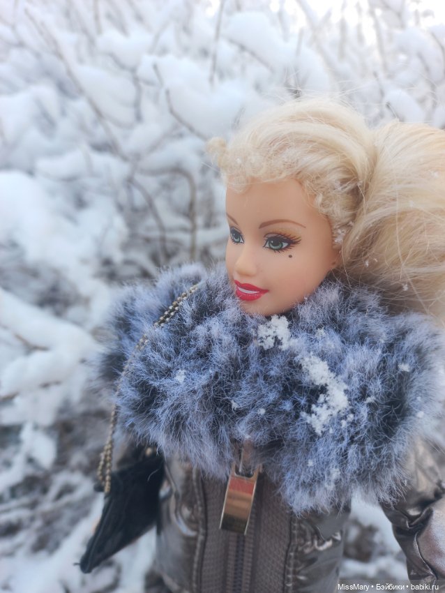 Снежана и первый снег — Куклы Barbie (Барби): Looks (фото 6)