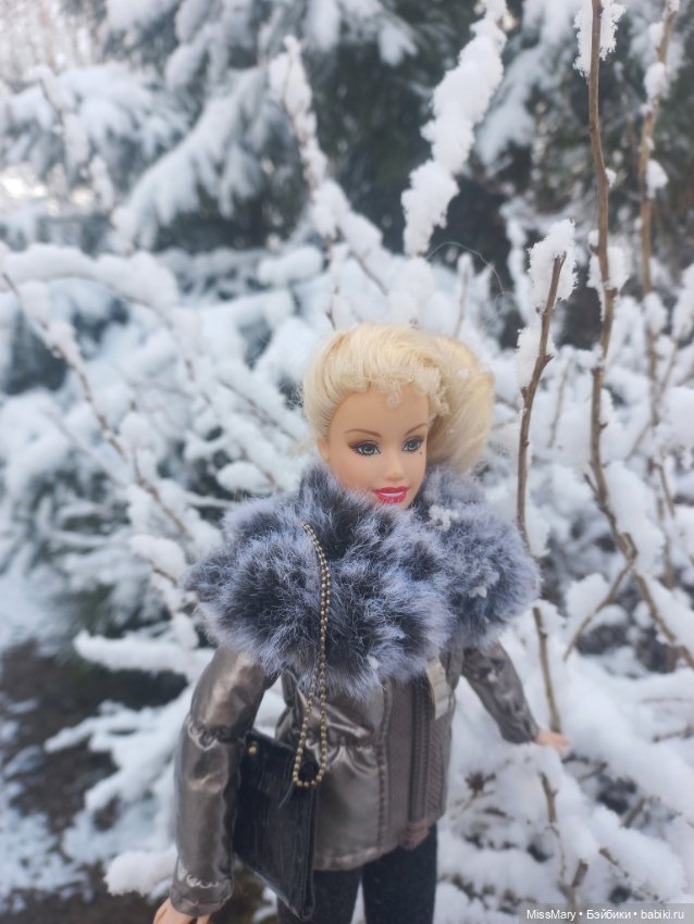 Снежана и первый снег — Куклы Barbie (Барби): Looks (фото 9)