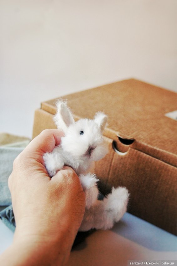 Маленький пушистик. Работаем