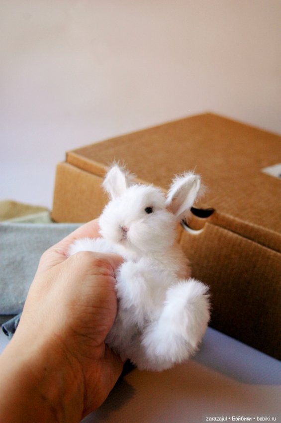 Маленький пушистик. Работаем (фото 2)