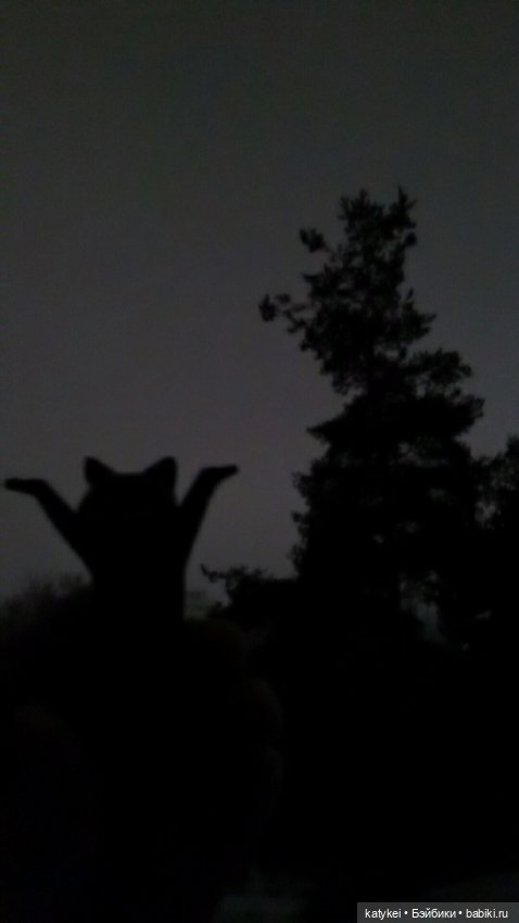 День чёрных котиков — Интересные игрушки и фигурки (разное): редкие (фото 3)