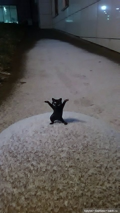 День чёрных котиков — Интересные игрушки и фигурки (разное): редкие (фото 2)