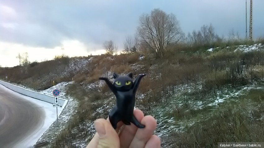 День чёрных котиков — Интересные игрушки и фигурки (разное): редкие (фото 6)