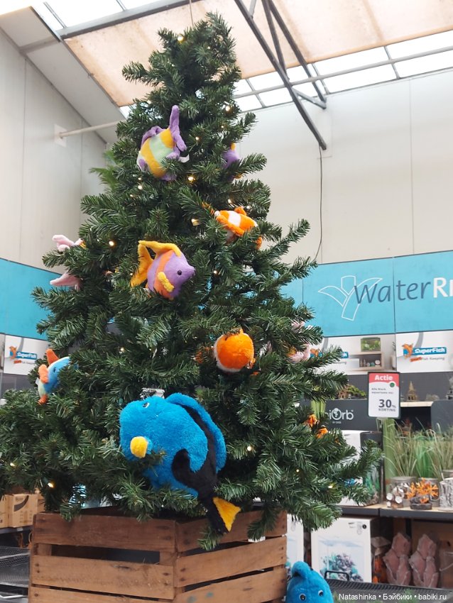 Fashion Dolls 433 — Туризм и путешествия: фотоотчеты из поездок