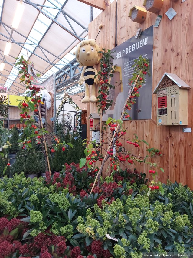 Fashion Dolls 433 — Туризм и путешествия: фотоотчеты из поездок (фото 3)