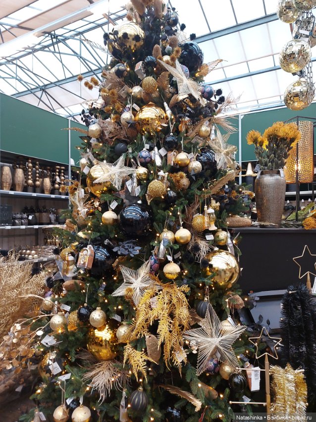 Fashion Dolls 433 — Туризм и путешествия: фотоотчеты из поездок