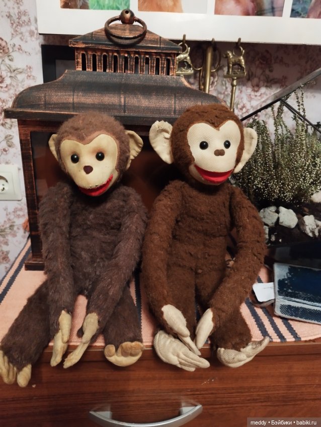Один счастливый день, или как мы с подругой нашли своих обезьянок детства (фото 9)