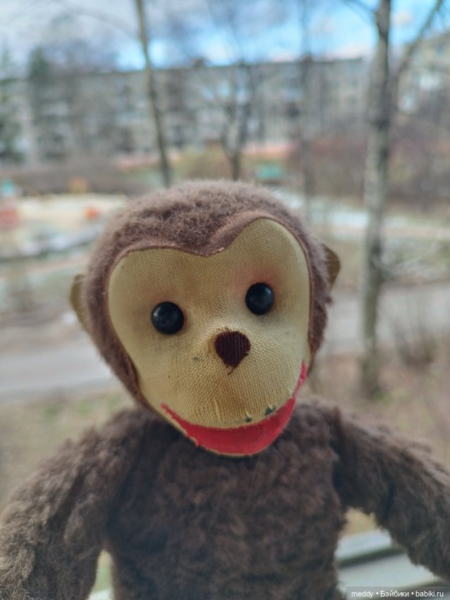 Один счастливый день, или как мы с подругой нашли своих обезьянок детства (фото 10)