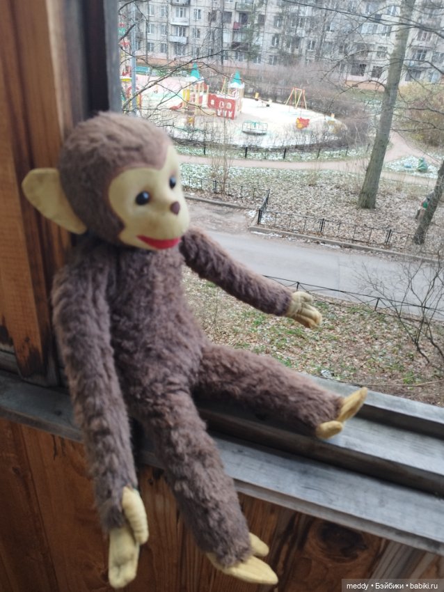 Один счастливый день, или как мы с подругой нашли своих обезьянок детства