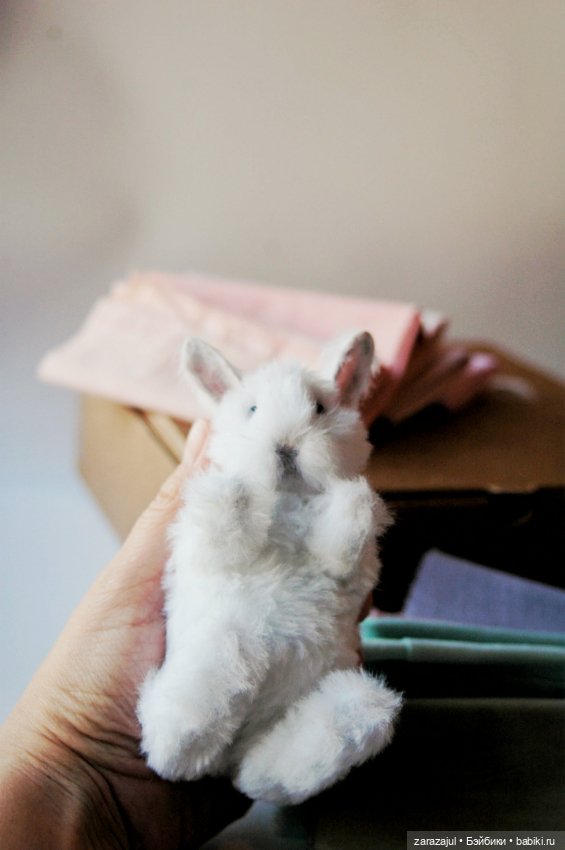 Пушистик. Финальная фотосессия