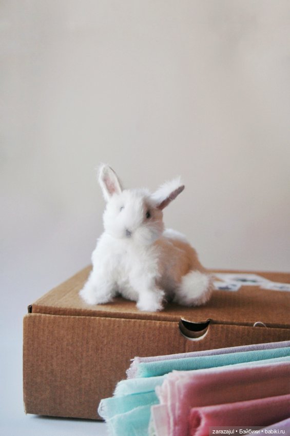 Пушистик. Финальная фотосессия (фото 4)