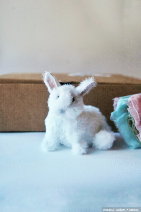 Пушистик. Финальная фотосессия (фото 6)