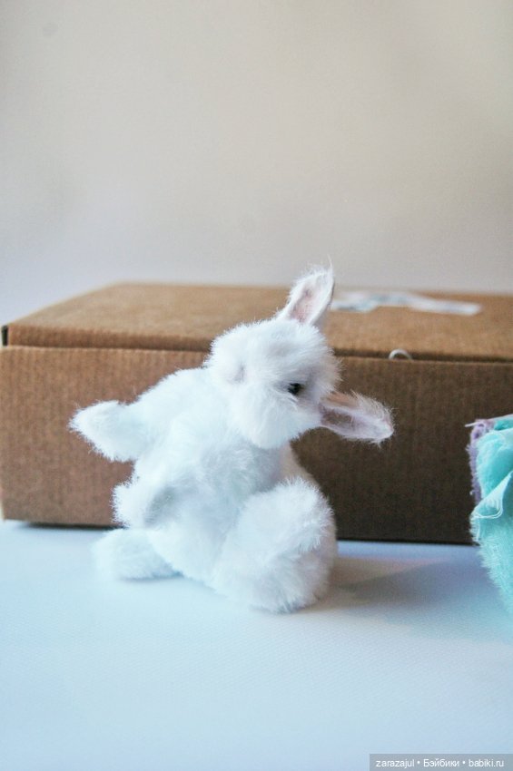 Пушистик. Финальная фотосессия (фото 7)