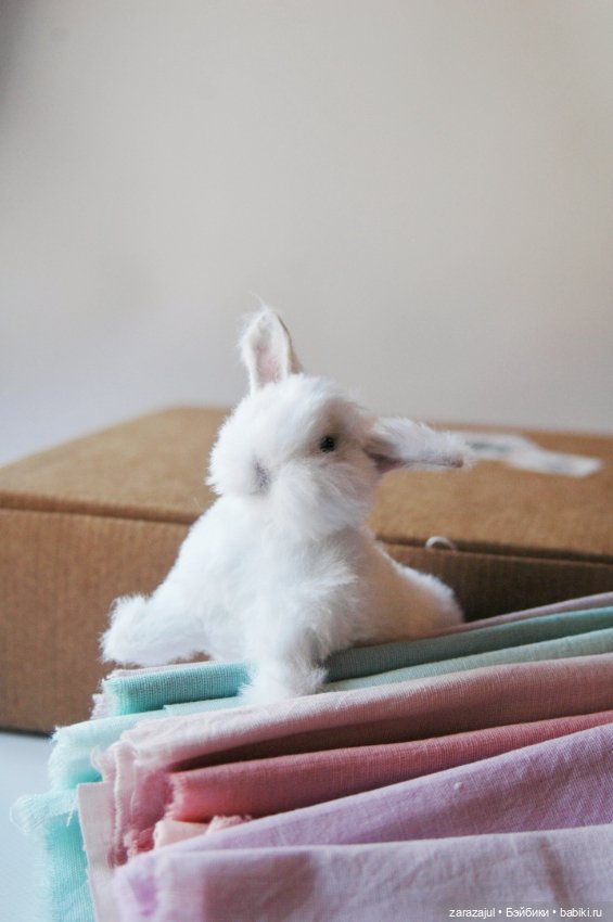 Пушистик. Финальная фотосессия (фото 3)