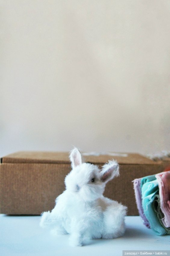 Пушистик. Финальная фотосессия (фото 9)