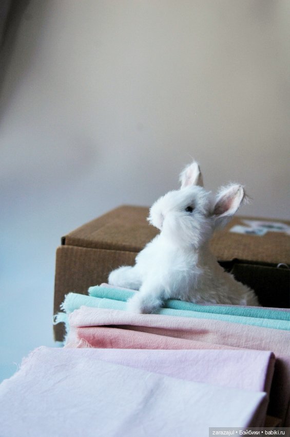 Пушистик. Финальная фотосессия (фото 2)