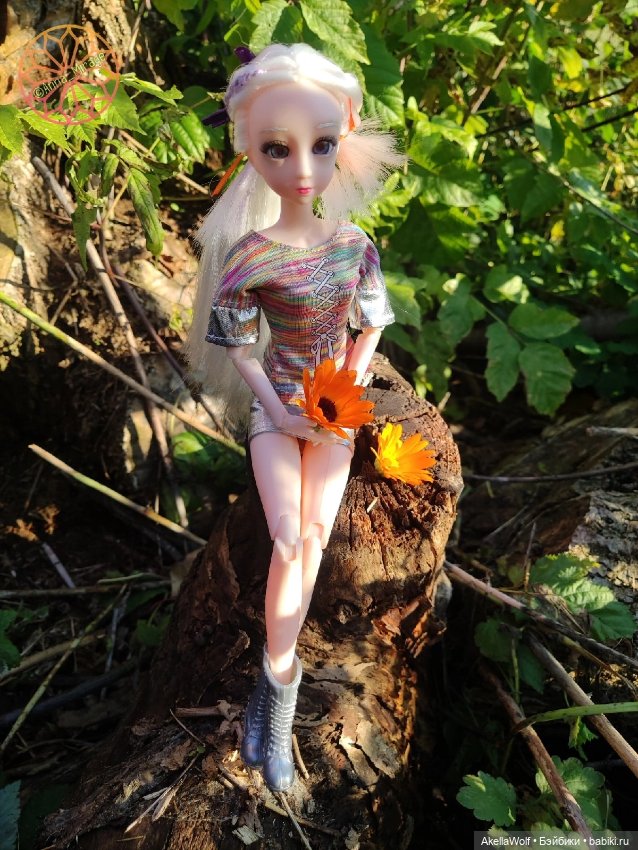 Осенняя прогулка — Разные шарнирные куклы (не БЖД): редкие