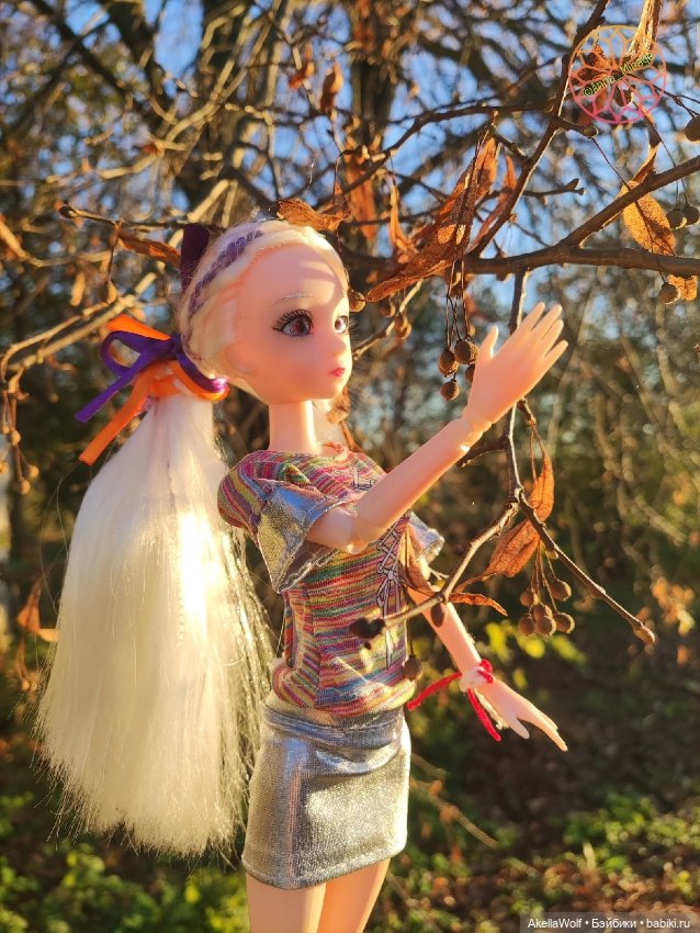 Осенняя прогулка — Разные шарнирные куклы (не БЖД): редкие (фото 3)