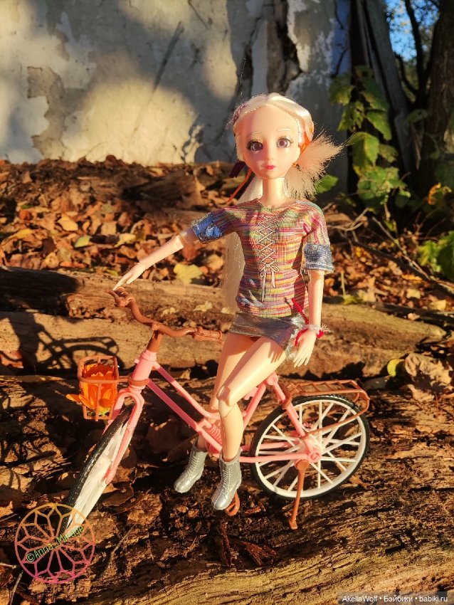 Осенняя прогулка — Разные шарнирные куклы (не БЖД): редкие (фото 4)