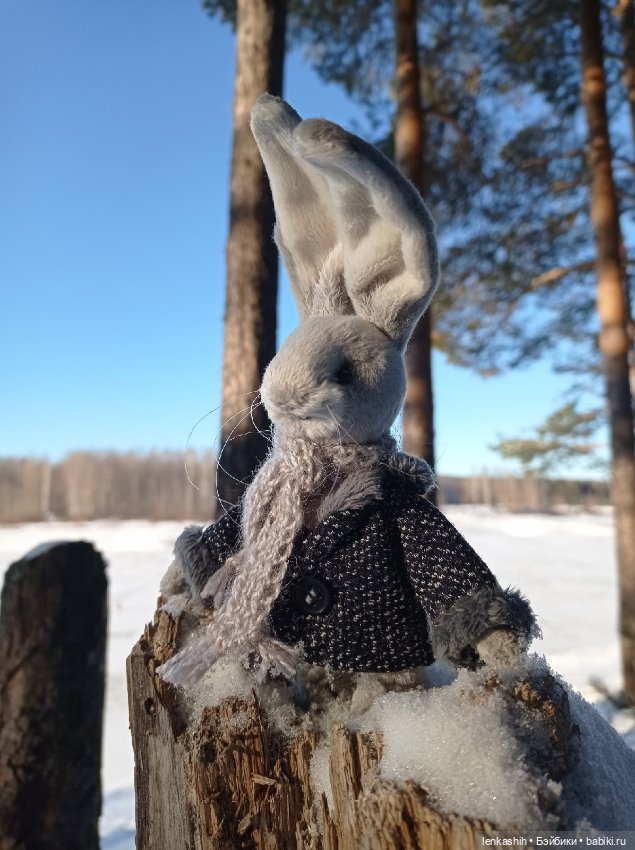 Знакомство зайчика с зимой (фото 3)