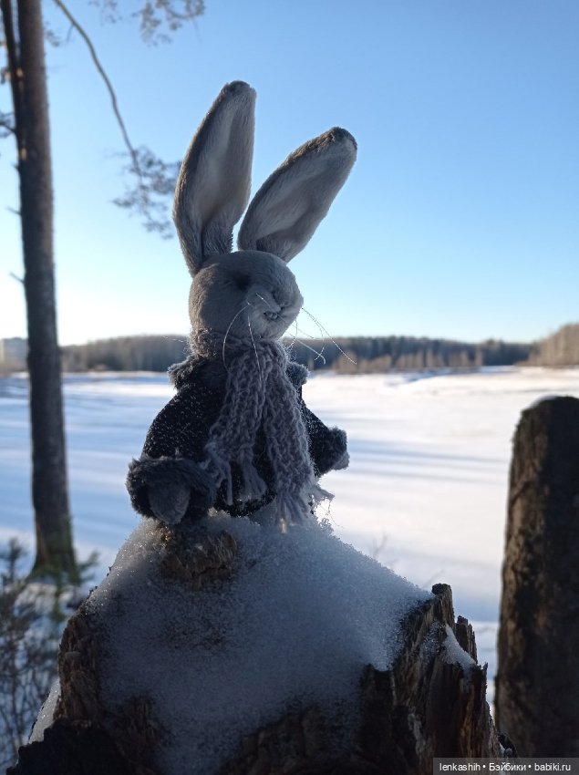 Знакомство зайчика с зимой (фото 5)