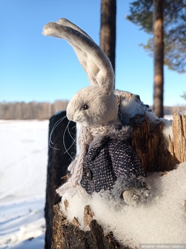 Знакомство зайчика с зимой (фото 4)