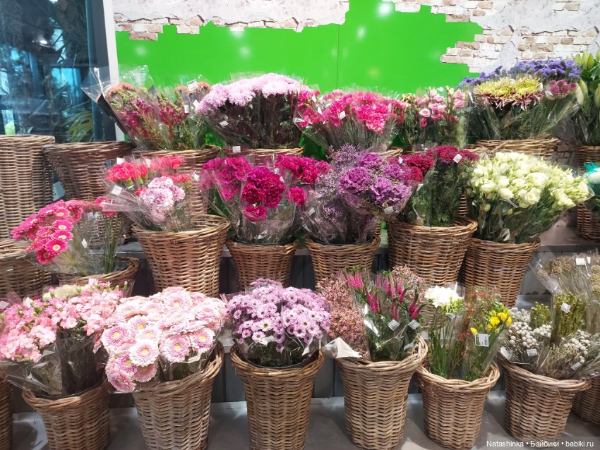 Fashion Dolls 434 — Туризм и путешествия: фотоотчеты из поездок (фото 4)