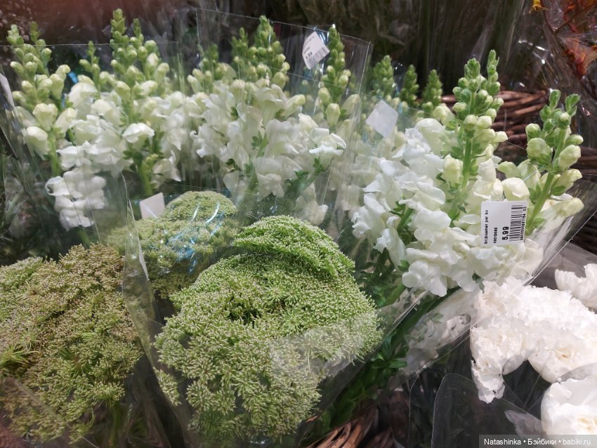 Fashion Dolls 434 — Туризм и путешествия: фотоотчеты из поездок (фото 6)