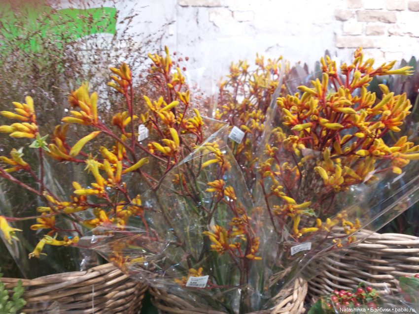 Fashion Dolls 434 — Туризм и путешествия: фотоотчеты из поездок (фото 7)