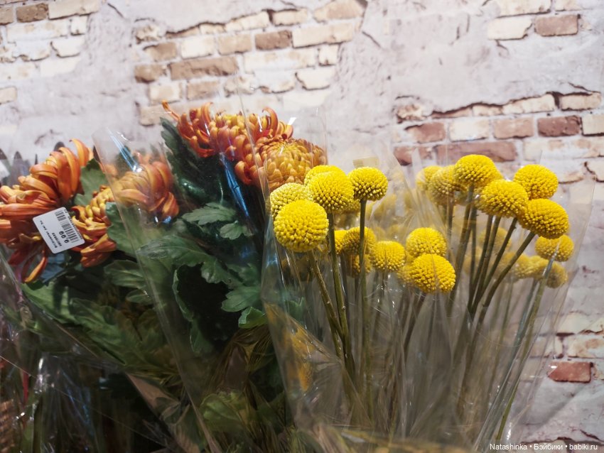 Fashion Dolls 434 — Туризм и путешествия: фотоотчеты из поездок (фото 5)