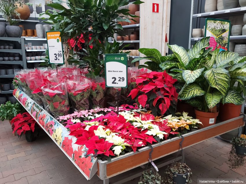 Fashion Dolls 434 — Туризм и путешествия: фотоотчеты из поездок (фото 3)