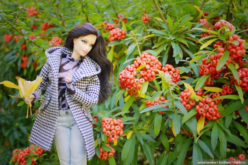 Осень — Куклы Barbie (Барби): Looks (фото 5)